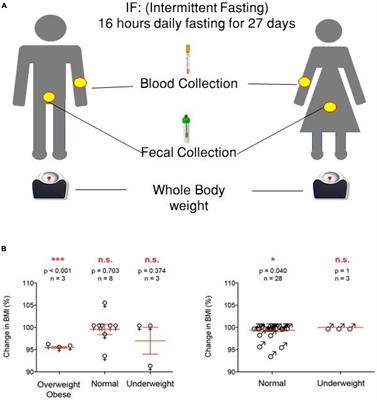 <mark class="highlighted">Intermittent fasting</mark> positively modulates human gut microbial diversity and ameliorates blood lipid profile